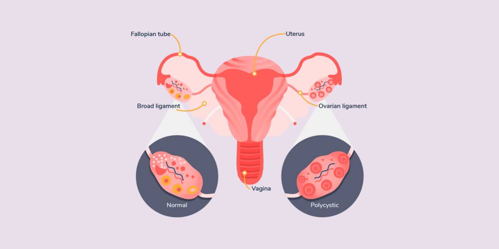 boostthyroid.com