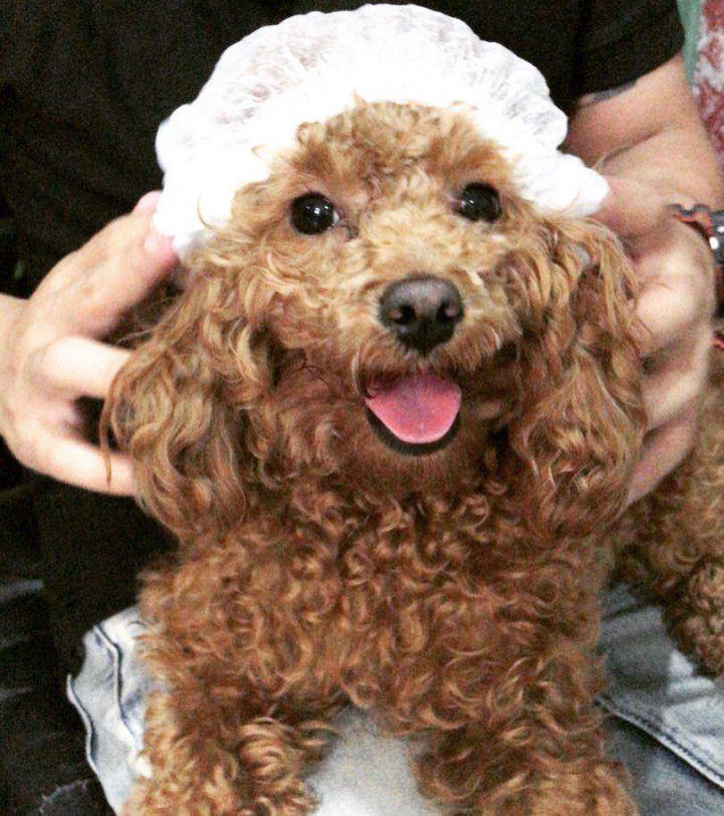 Instagram/hellooyeppo
