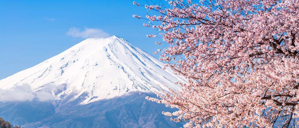 5 Tempat Ini Wajib Dikunjungi untuk Liburan Musim Dingin di Jepang
