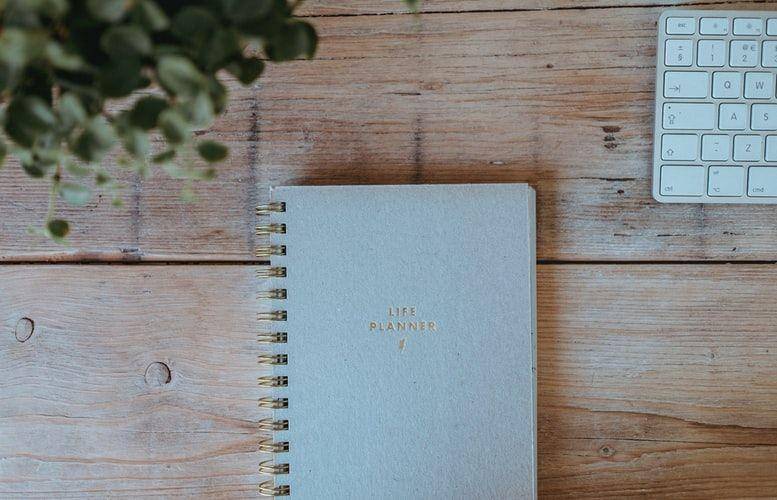 unsplash/Annie Spratt