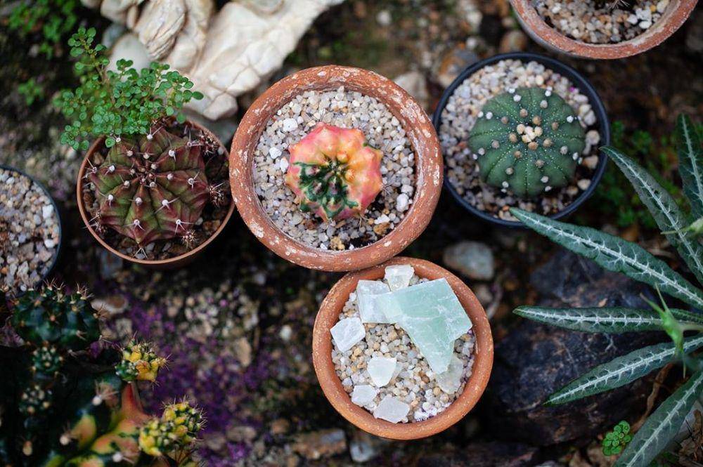 instagram.com/homesteadbrooklyn