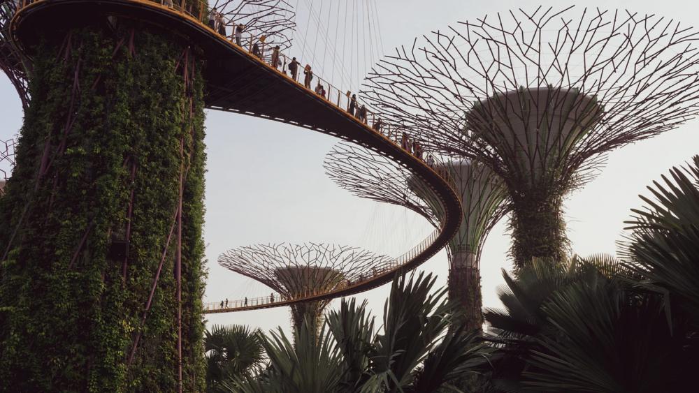 7 Alasan Singapura Jadi Tempat Paling Pas Buat Liburan Akhir Tahun
