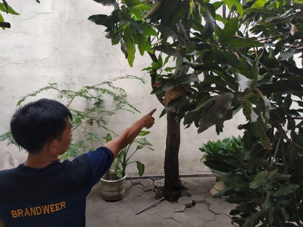 Proses evakuasi tawon ndas di Kecamatan Karang Pilang oleh Pemerintah Kota Surabaya, Senin (2/12). Dok. Dinas Damkar Surabaya
