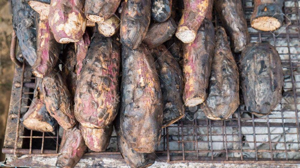 Mengandung Segudang Manfaat, Singkong Jadi Pilihan Makanan Masa Depan