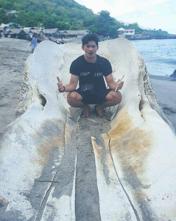 instagram.com/donnyalamsyah