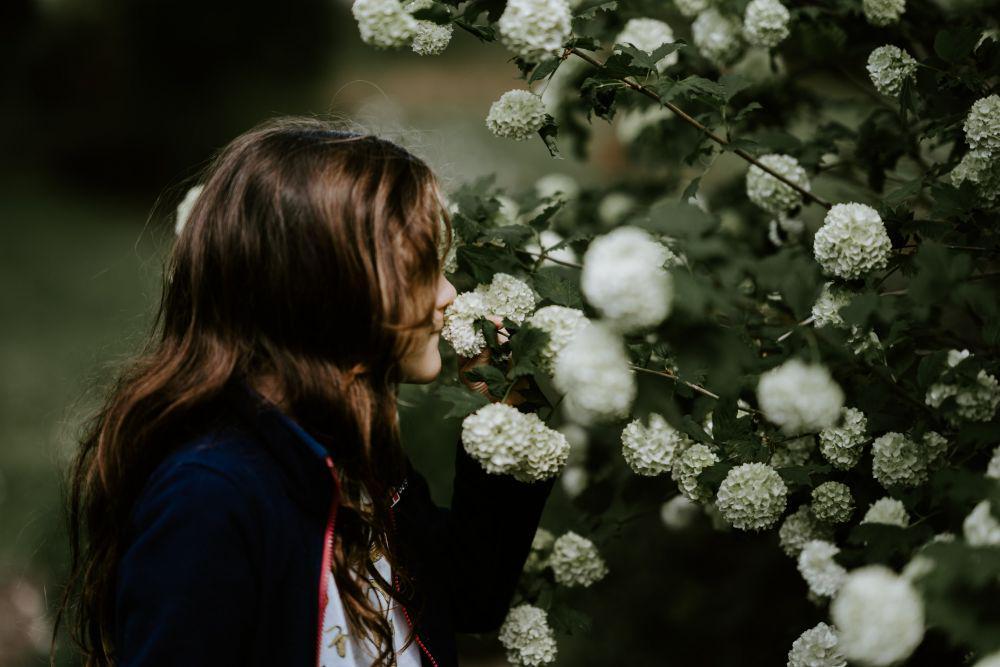 unsplash.com/Annie Spratt