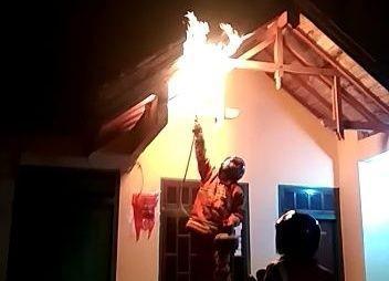 Wabah Tawon Ndas Merebak, BPBD Musnahkan Sarang di Empat Kecamatan