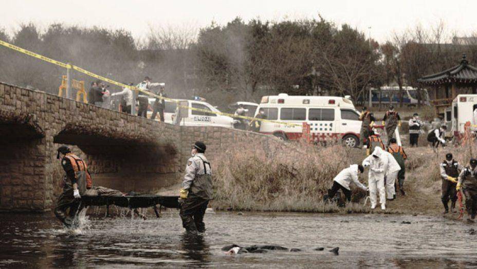 hollywoodreporter.com