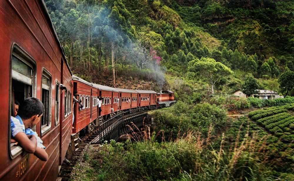 Berlibur ke Sri Lanka, Ini 7 Aktivitas Seru yang Bisa Kamu Lakukan