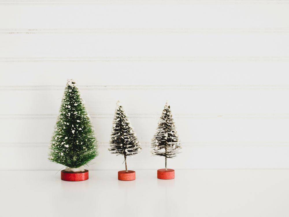 unsplash.com/Debby Hudson