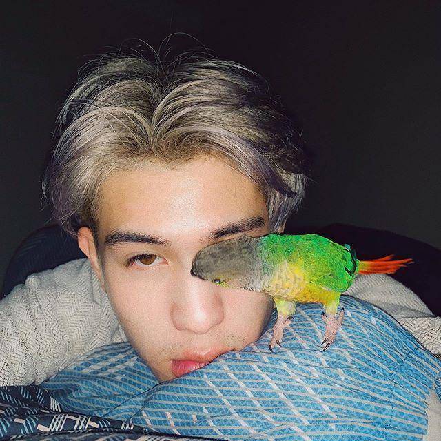 instagram.com/julianjacs