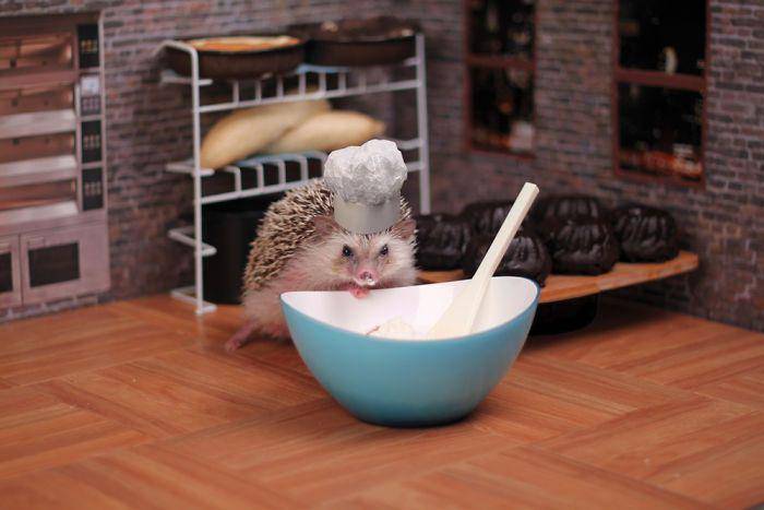 Boredpanda.com