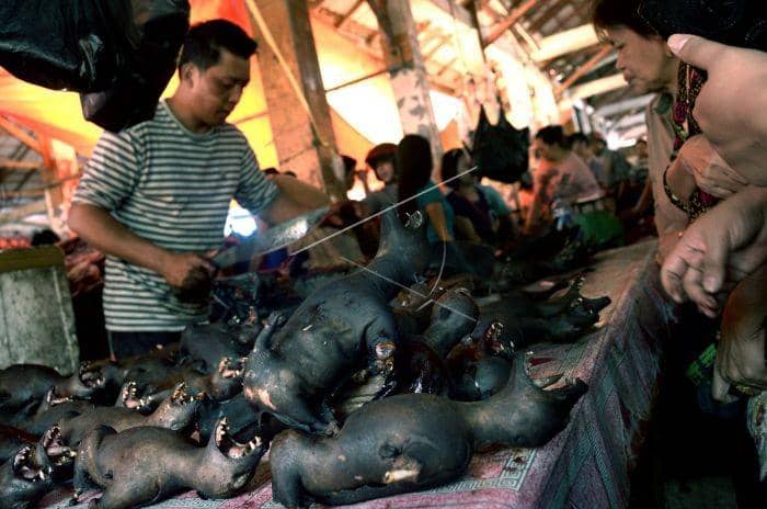 Corona Diduga dari Kelelawar, Pasar Ekstrem Tomohon Belum Ditutup?