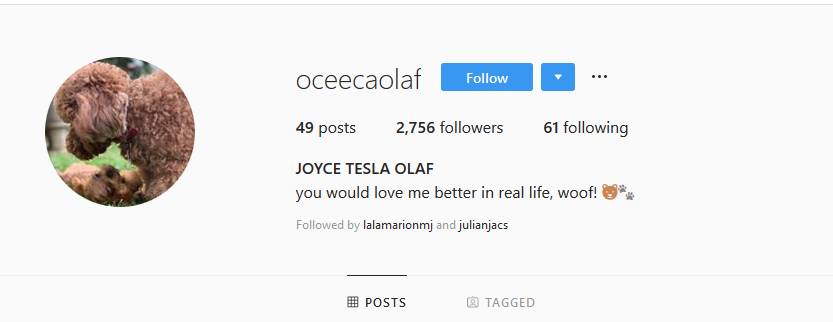 instagram.com/oceecaolaf