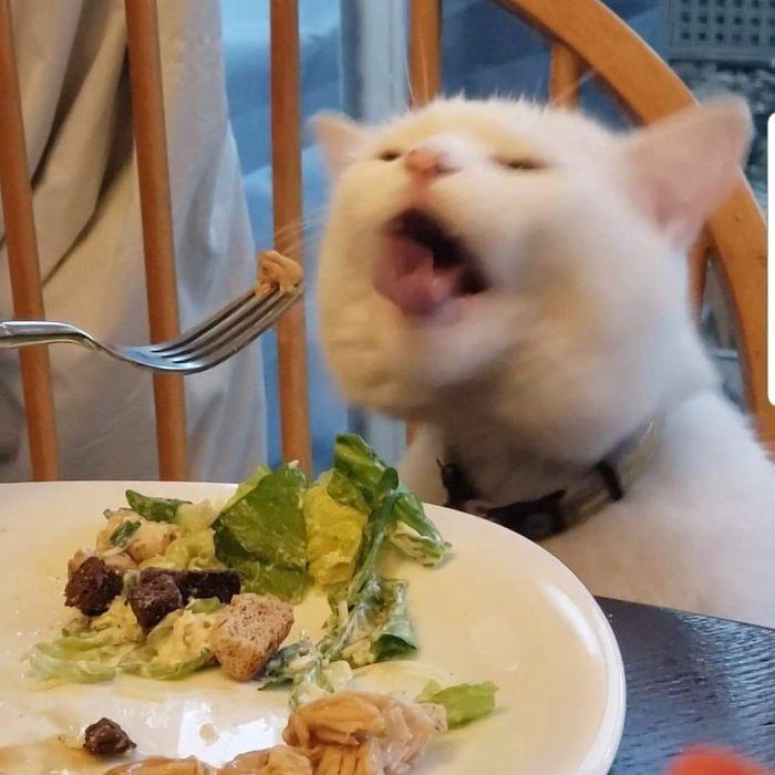 instagram.com/smudge_lord