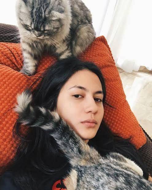 Instagram.com/pevpearce