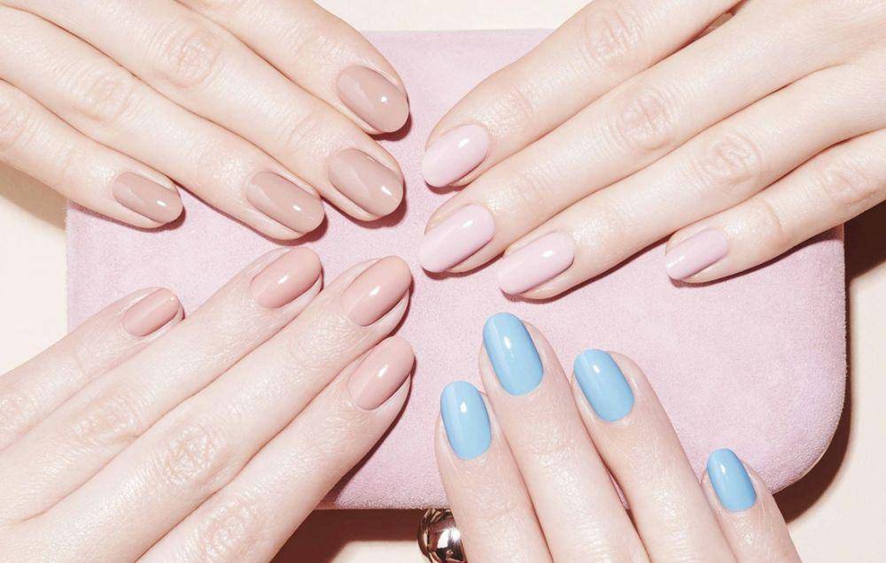 eblush.co.id