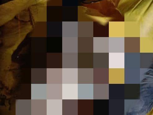 Giliran Nelayan Kepiting Asal Banyuasin Tewas Dimangsa Buaya Muara