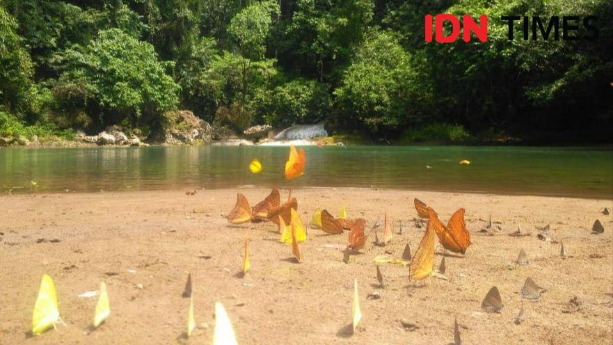 Kunjungan Wisatawan Asing ke Sulsel Meroket, Tapi Okupansi Hotel Menurun