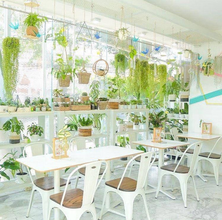 https://www.instagram.com/livingwithlof/