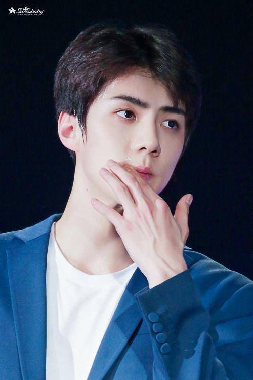dailyexo.tumblr.com