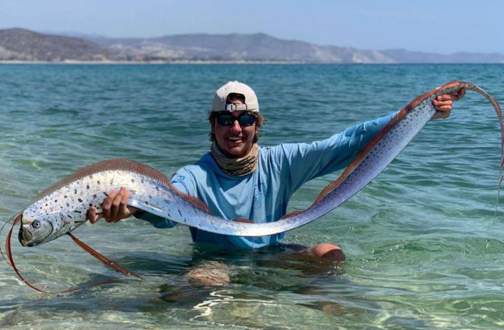 5 Fakta Oarfish, Ikan yang Diduga Jadi Tanda Bencana saat Muncul