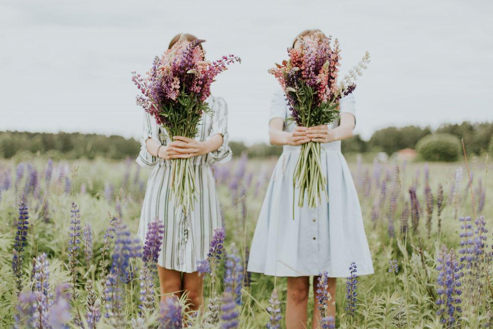 Unsplash.com/Daiga Ellaby