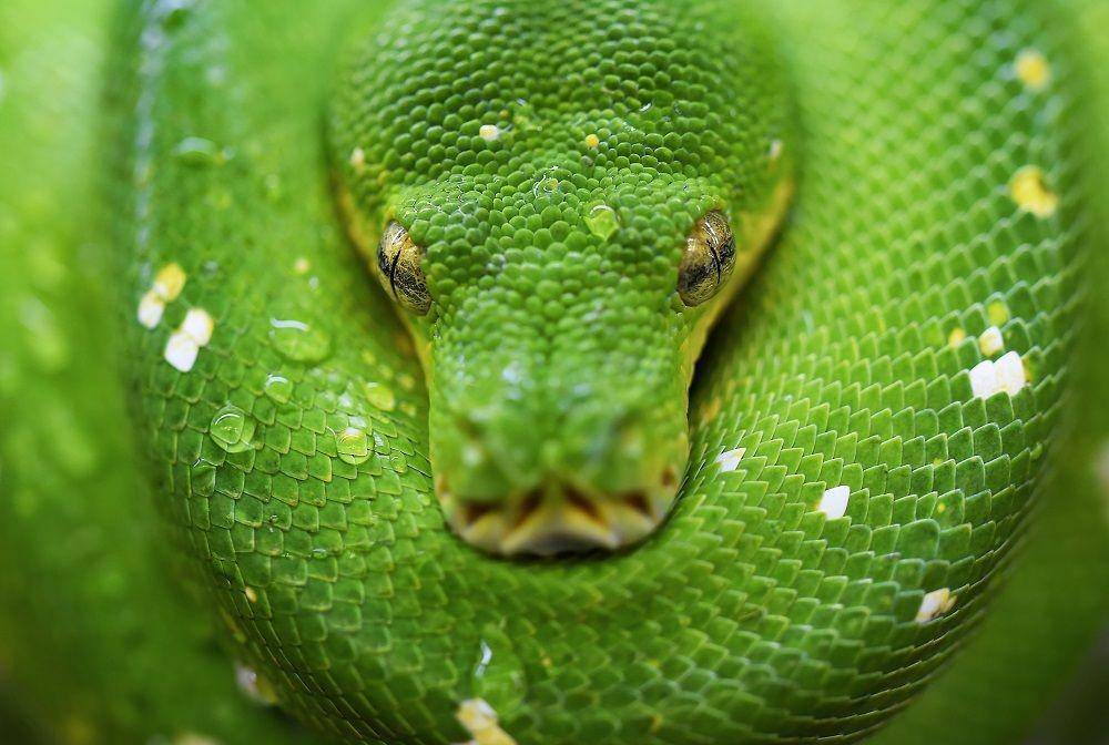 unsplash/David Clode