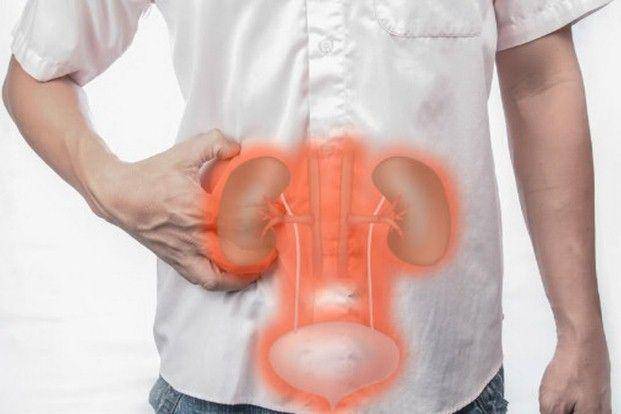 parashospitals.com