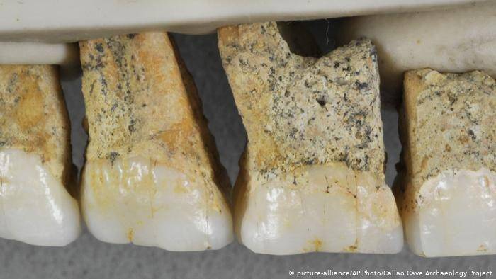 Fosil gigi Homo luzonensis. dw.com