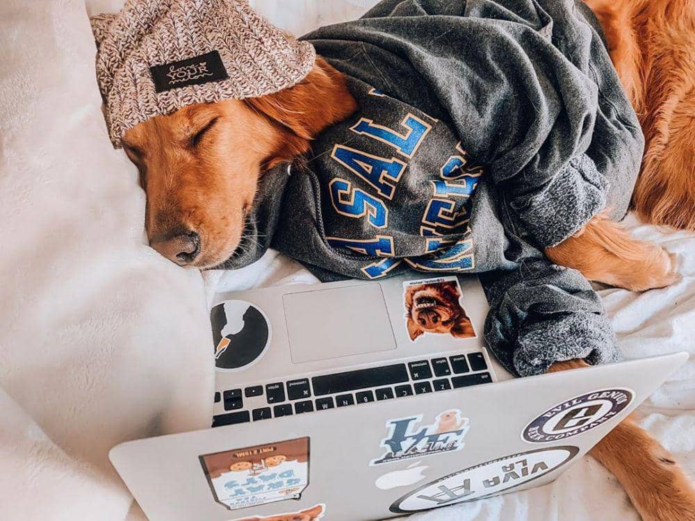 instagram.com/visitphilly_abbystyle