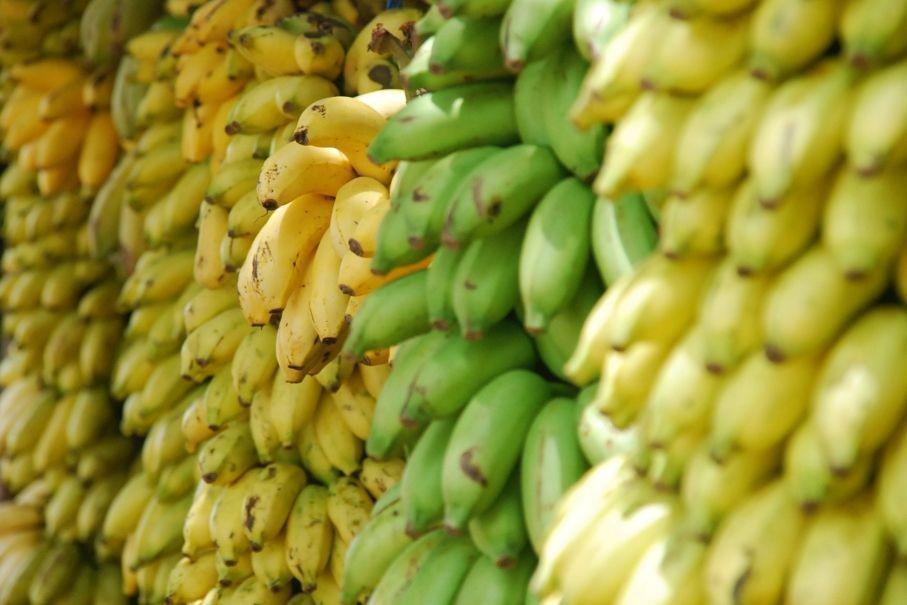 12 Manfaat Pisang untuk Kesehatan Tubuh, Kaya Nutrisi!