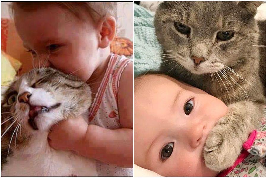 12 Persahabatan Kocak Kucing dan Bayi, Bercanda Bareng sampai Berantem