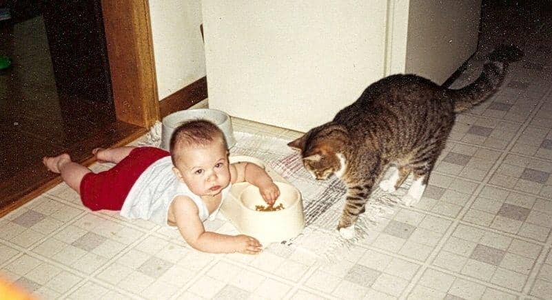 9 Foto Kocak Bayi dan Kucing Makan Bareng, Bikin si Ibu Syok Berat!