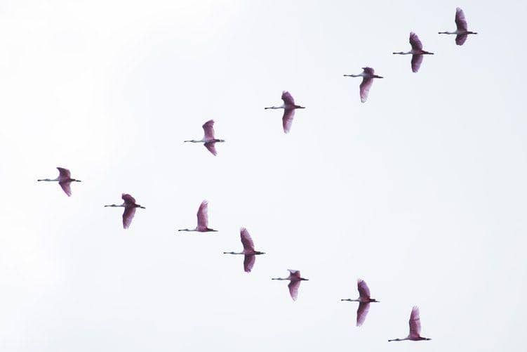Unsplash/Julia Craice