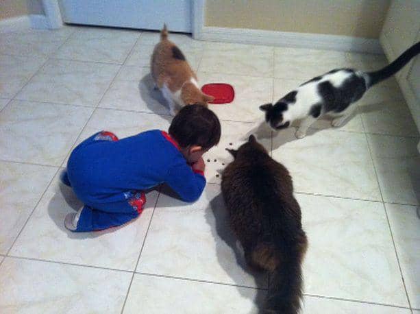 Pinterest/Carol Romaca