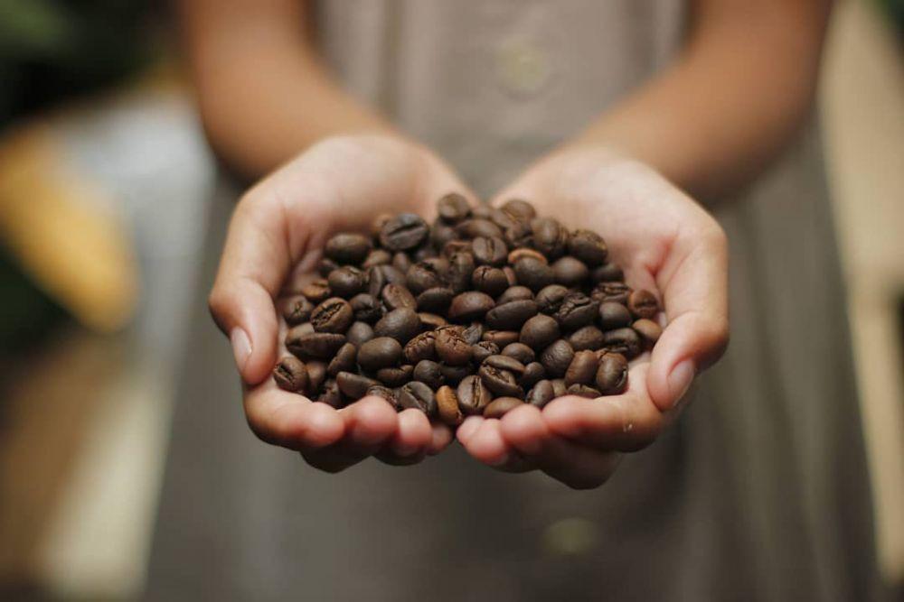 Hari Kopi Nasional, Selain Toraja Ini 5 Jenis Kopi Enak Khas Sulsel