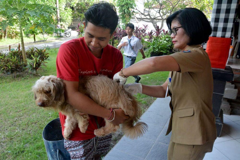 Setiap Tahun, 103 Orang Indonesia Meninggal karena Rabies