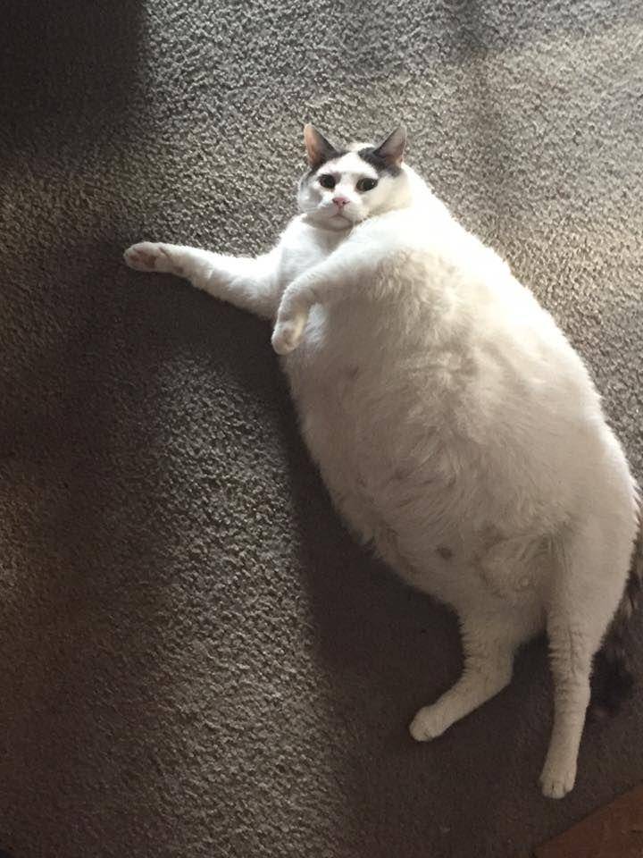 Imgur.com