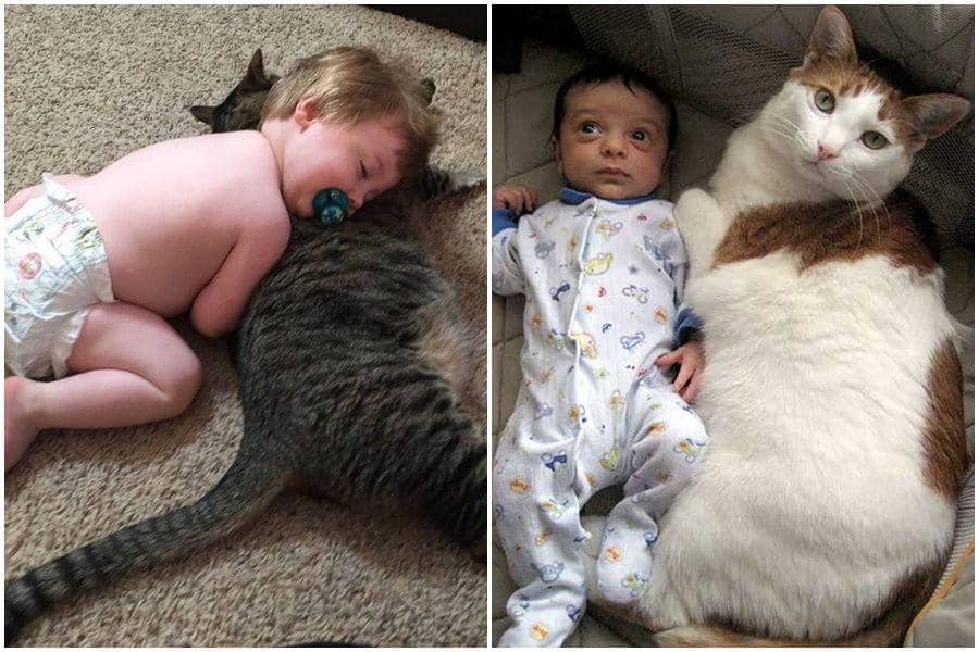 Gemasnya Pose Tidur Kucing dan Bayi, Bikin Pengin Cium Dua-duanya!
