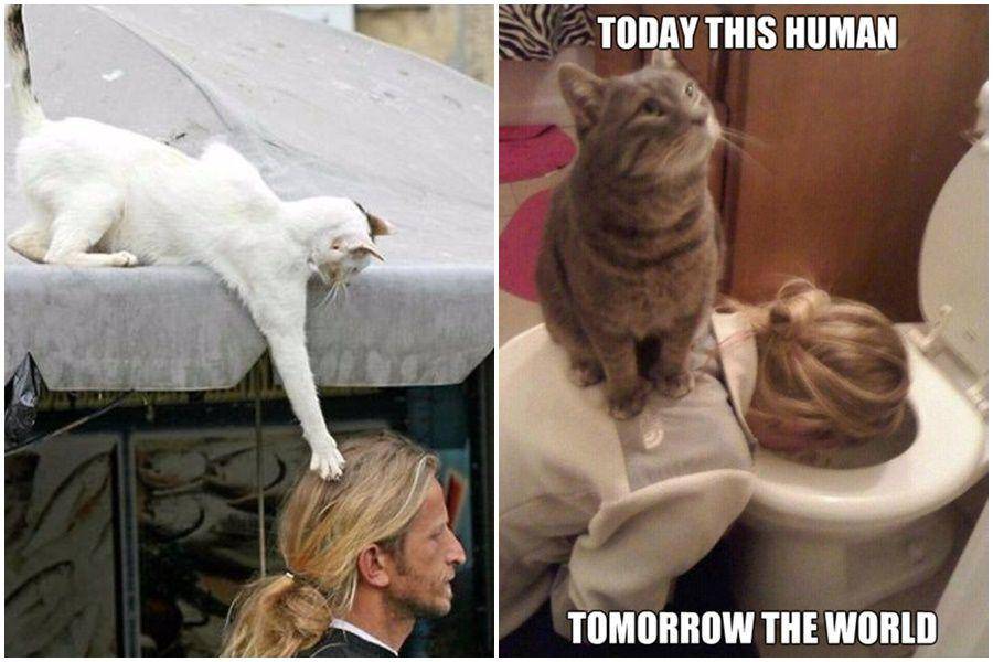 Twitter/Tro_ort & Memecenter.com