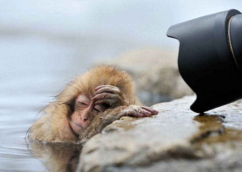 theodysseyonline.com