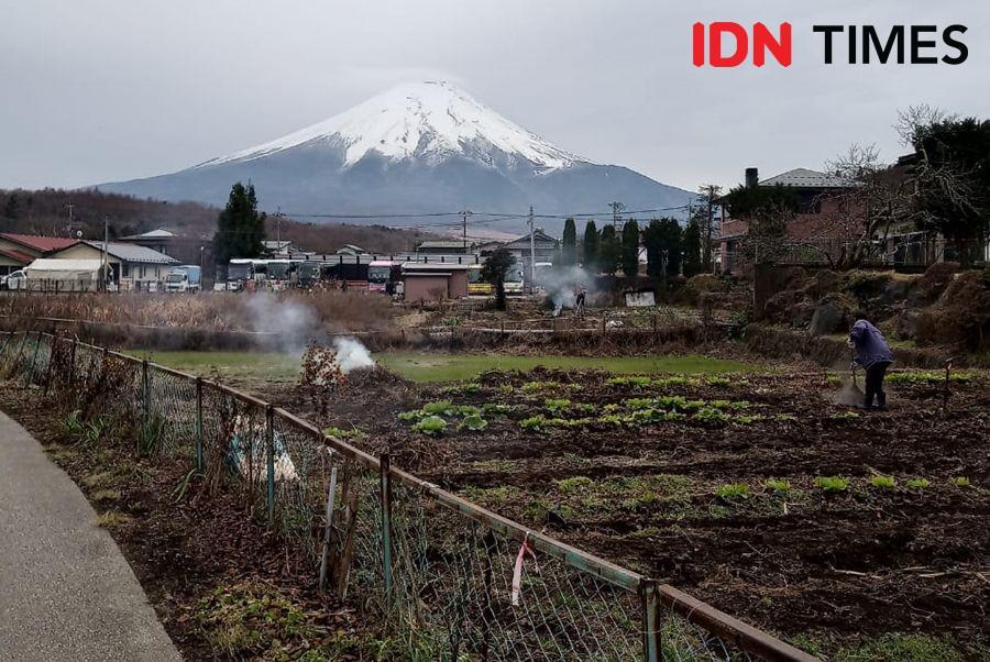 Gempa Jepang, Lebih dari 50 Orang Terluka