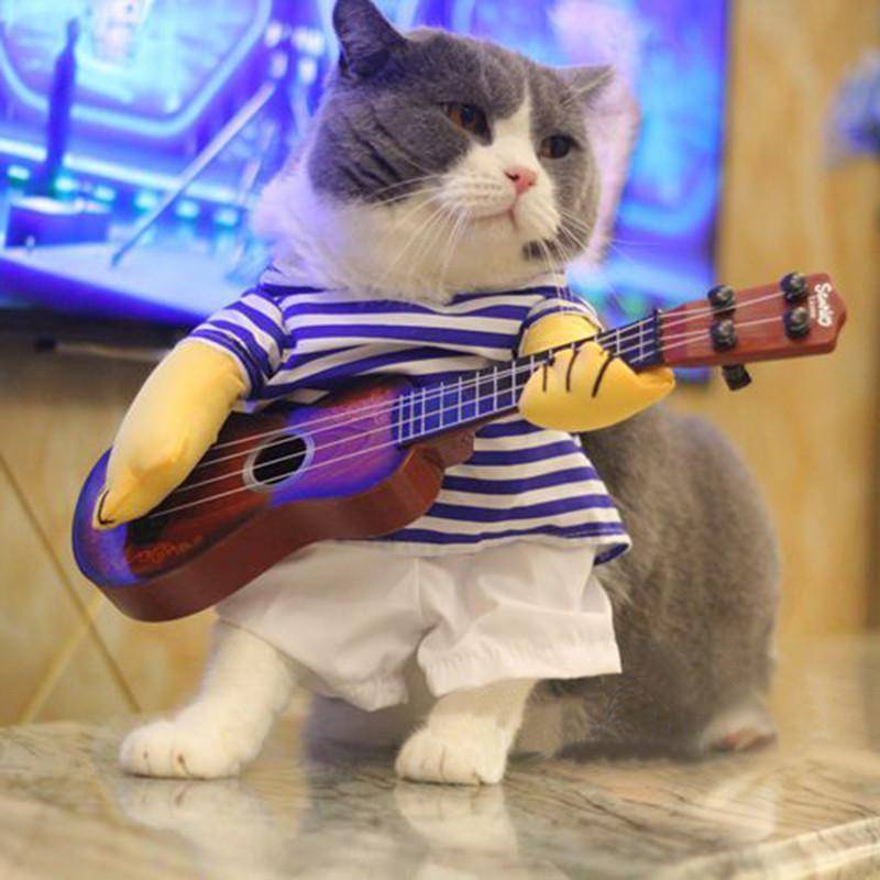 Catloversparadise.net