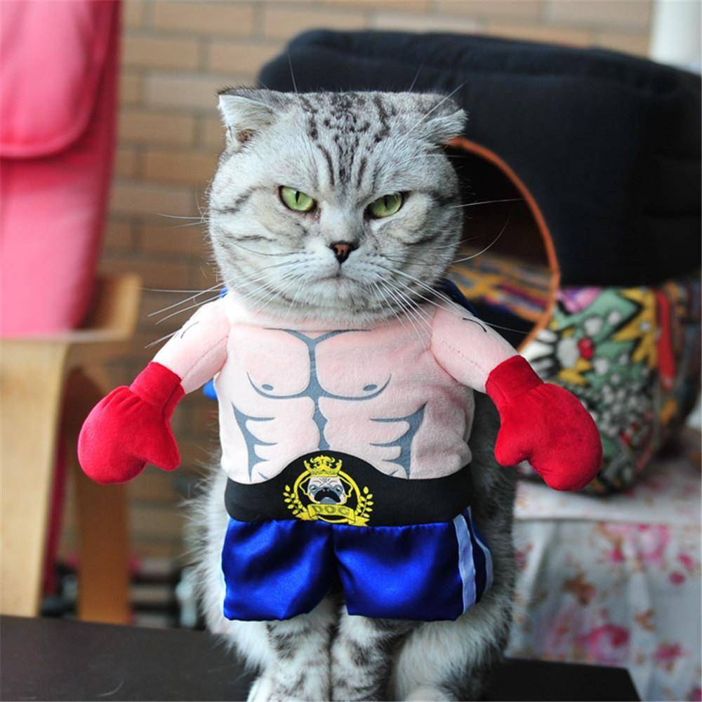 Dhgate.com