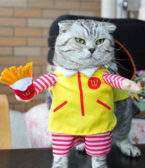nekocatlovers.com