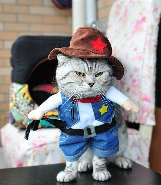 nekocatlovers.com