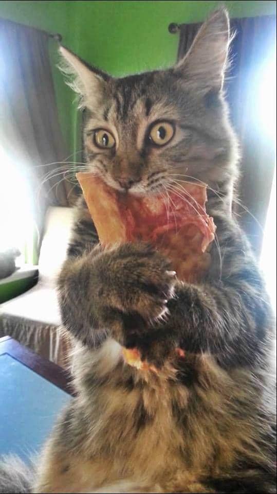 Pinterest/Anna Rather