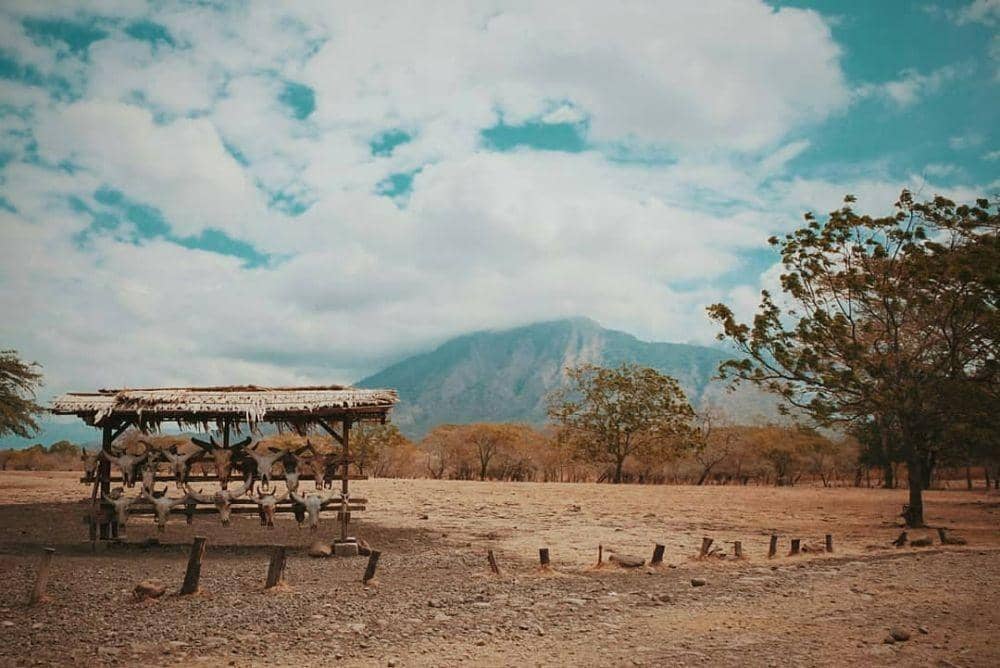 instagram.com/rengsitubondo