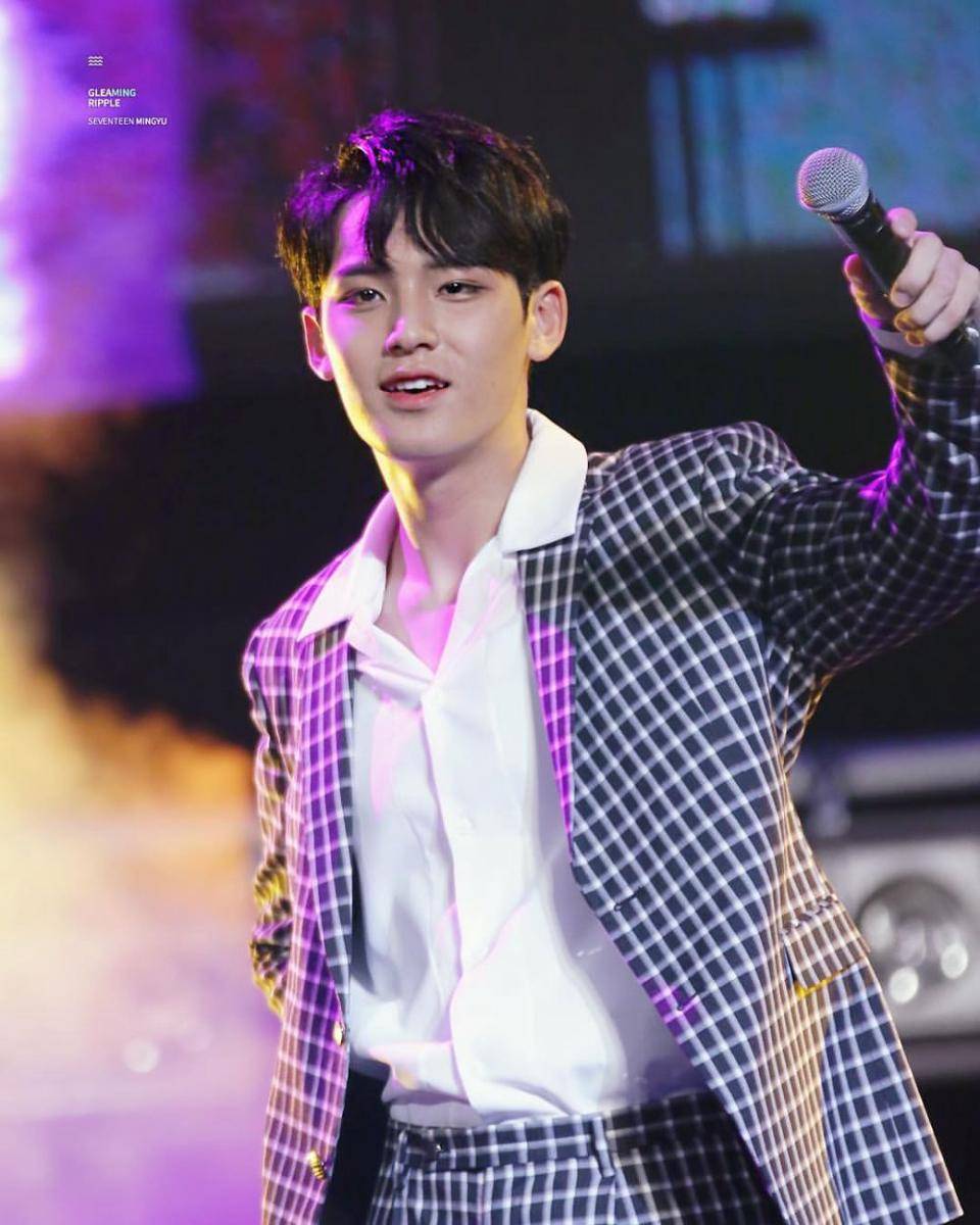 Instagram.com/mingyu